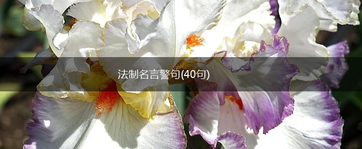 法制名言警句(40句),第1张