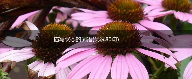 描写状态的词语(优选80句),第1张