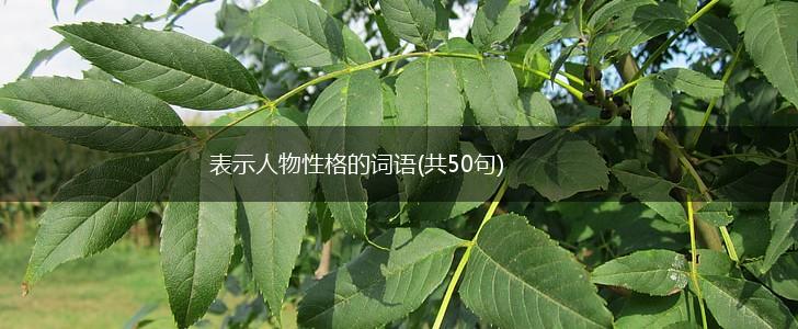 表示人物性格的词语(共50句),第1张 表示人物性格的词语(共50句),第1张