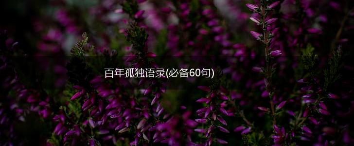 百年孤独语录(必备60句),第1张