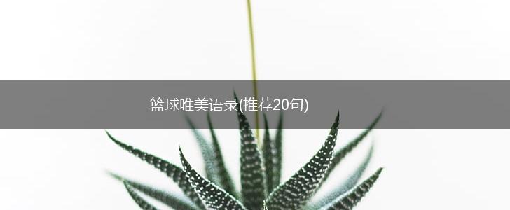 篮球唯美语录(推荐20句),第1张