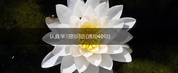 认真学习的词语(通用40句),第1张