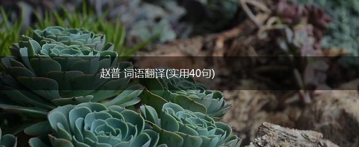 赵普 词语翻译(实用40句),第1张