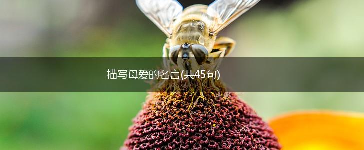 描写母爱的名言(共45句),第1张
