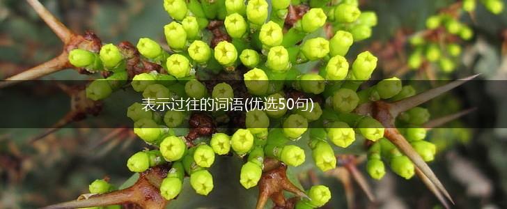 表示过往的词语(优选50句),第1张