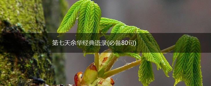 第七天余华经典语录(必备80句),第1张