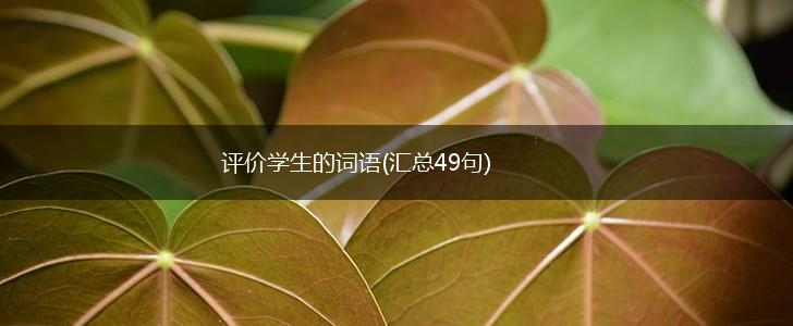 评价学生的词语(汇总49句),第1张