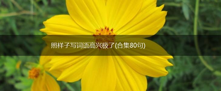 照样子写词语高兴极了(合集80句),第1张