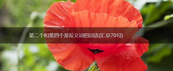 第二个和第四个是反义词的词语(汇总70句),第1张