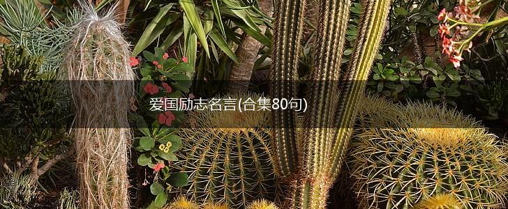 爱国励志名言(合集80句),第1张