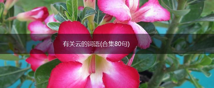 有关云的词语(合集80句),第1张