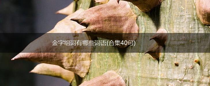 金字组词有哪些词语(合集40句),第1张