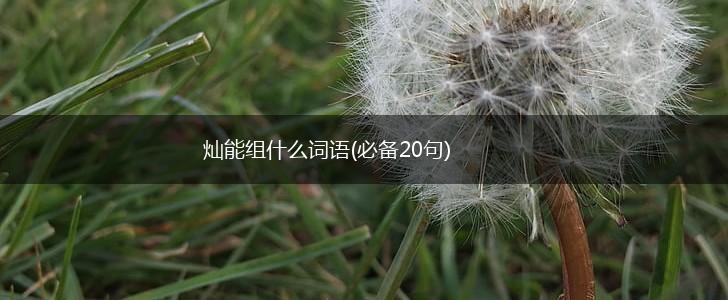 灿能组什么词语(必备20句),第1张