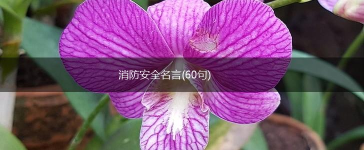 消防安全名言(60句),第1张 消防安全名言(60句),第1张