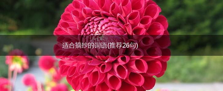 适合摘抄的词语(推荐26句),第1张