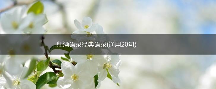 红酒语录经典语录(通用20句),第1张
