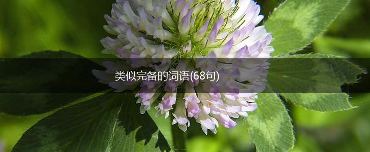 类似完备的词语(68句),第1张