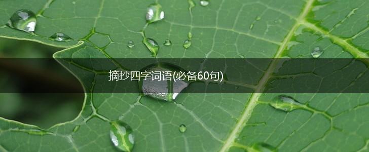 摘抄四字词语(必备60句),第1张 摘抄四字词语(必备60句),第1张