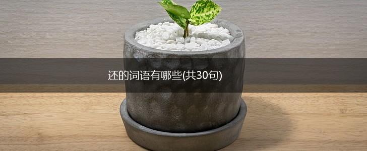 还的词语有哪些(共30句),第1张