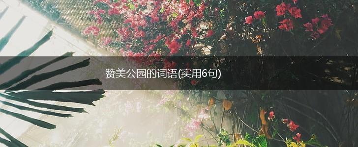 赞美公园的词语(实用6句),第1张