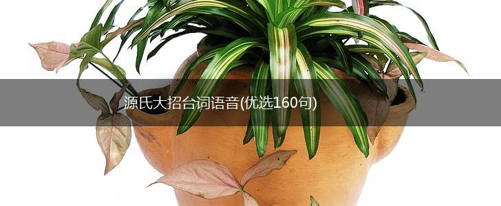 源氏大招台词语音(优选160句),第1张