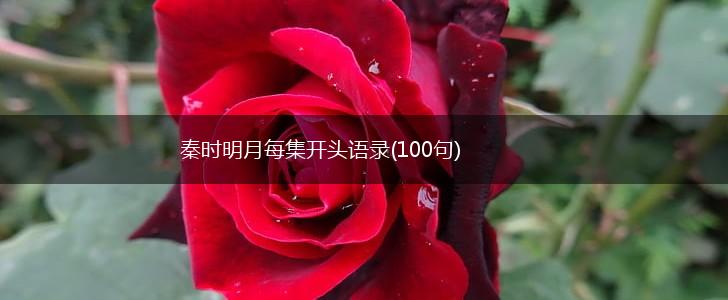 秦时明月每集开头语录(100句),第1张