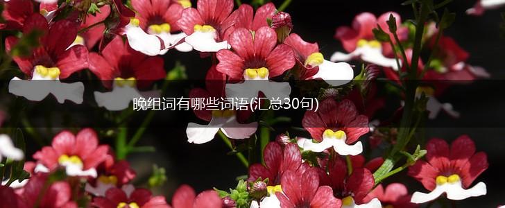 晚组词有哪些词语(汇总30句),第1张