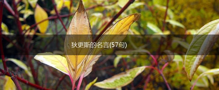 狄更斯的名言(57句),第1张