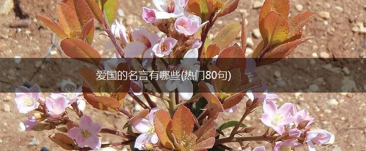 爱国的名言有哪些(热门80句),第1张