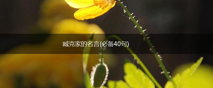 臧克家的名言(必备40句),第1张