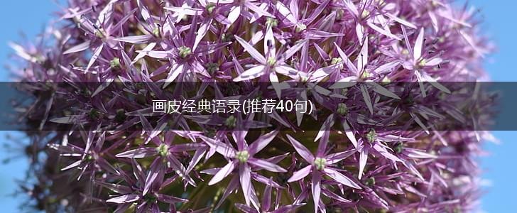 画皮经典语录(推荐40句),第1张
