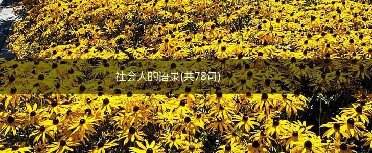 社会人的语录(共78句),第1张