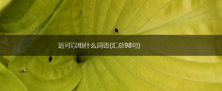 近可以组什么词语(汇总98句),第1张