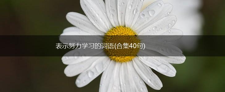 表示努力学习的词语(合集40句),第1张