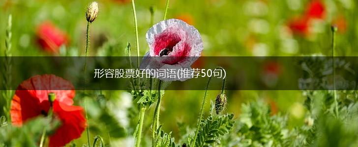 形容股票好的词语(推荐50句),第1张 形容股票好的词语(推荐50句),第1张