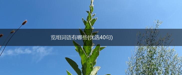 览组词语有哪些(优选40句),第1张