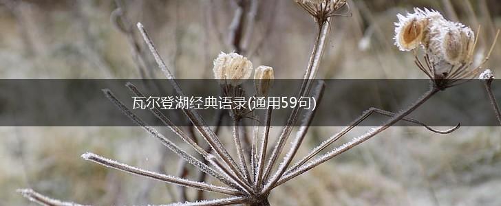 瓦尔登湖经典语录(通用59句),第1张