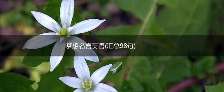 梦想名言英语(汇总98句),第1张 梦想名言英语(汇总98句),第1张
