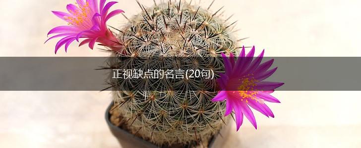 正视缺点的名言(20句),第1张 正视缺点的名言(20句),第1张