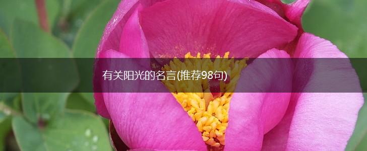 有关阳光的名言(推荐98句),第1张 有关阳光的名言(推荐98句),第1张