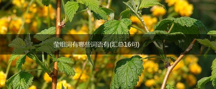 莹组词有哪些词语有(汇总16句),第1张