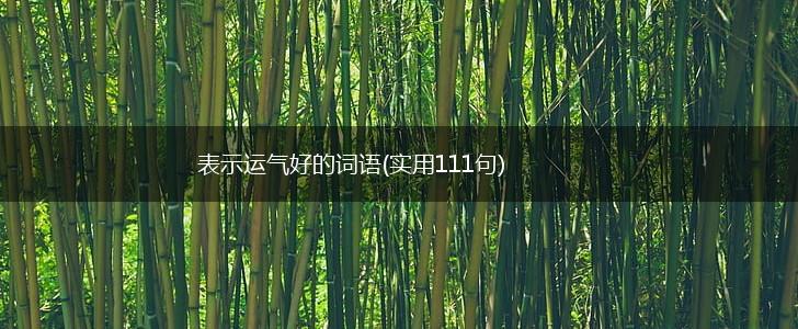 表示运气好的词语(实用111句),第1张 表示运气好的词语(实用111句),第1张