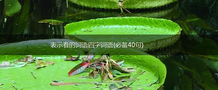 表示看的词语四字词语(必备40句),第1张