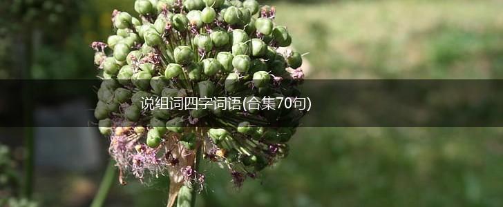 说组词四字词语(合集70句),第1张