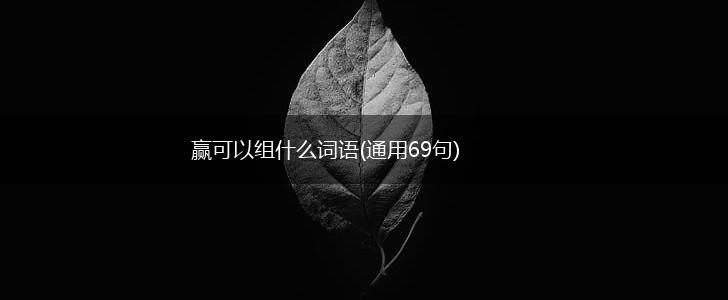 赢可以组什么词语(通用69句),第1张