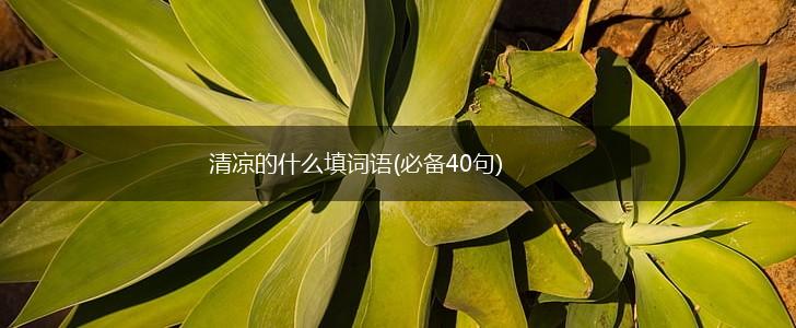 清凉的什么填词语(必备40句),第1张