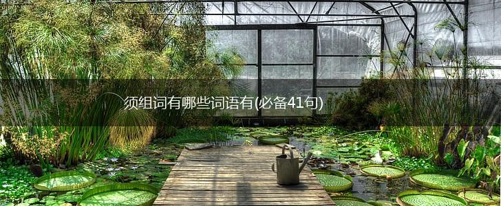 须组词有哪些词语有(必备41句),第1张