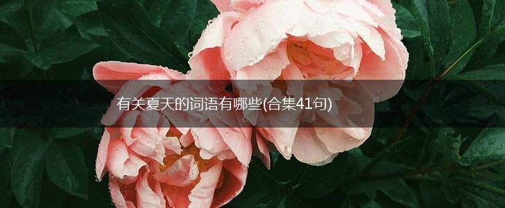 有关夏天的词语有哪些(合集41句),第1张