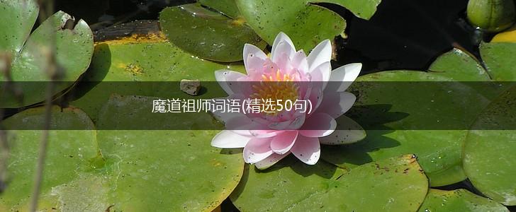 魔道祖师词语(精选50句),第1张