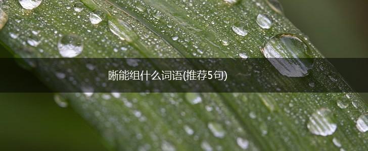 晰能组什么词语(推荐5句),第1张
